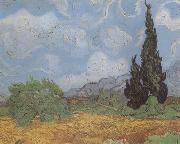 Vincent Van Gogh, Wheat Field with Cypresses (nn04)